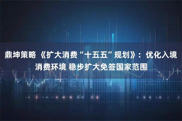 鼎坤策略 《扩大消费“十五五”规划》：优化入境消费环境 稳步扩大免签国家范围