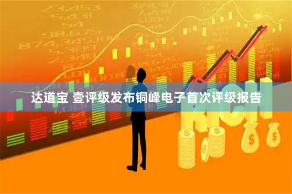 达道宝 壹评级发布铜峰电子首次评级报告