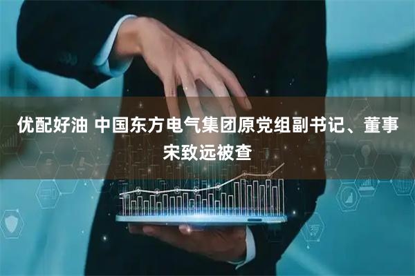 优配好油 中国东方电气集团原党组副书记、董事宋致远被查